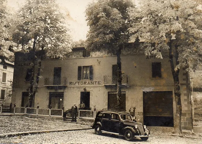 ホテル Appennino 3*